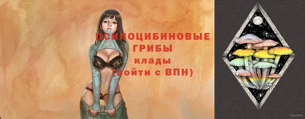 твердый Горнозаводск