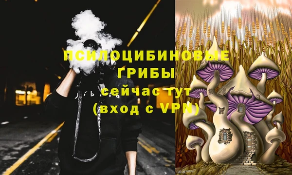 твердый Горнозаводск