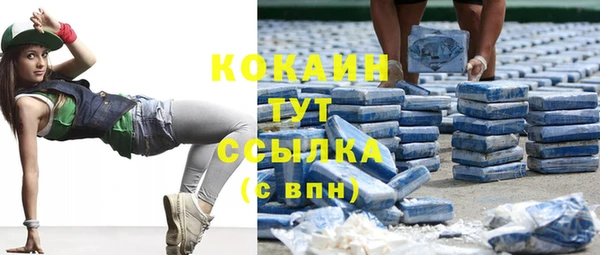твердый Горнозаводск
